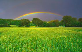 arcobaleno 25 lista